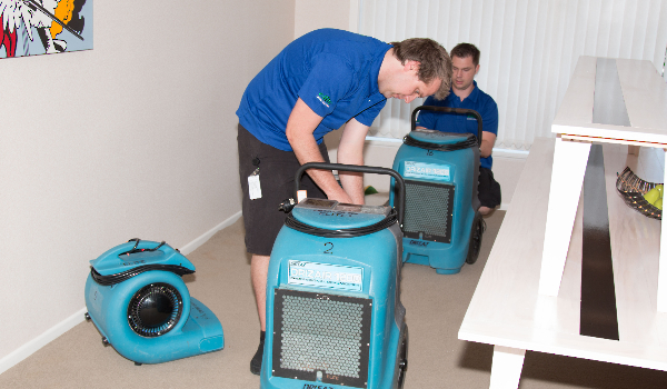 Elite Carpet Cleaning technicians setting up drying equipment for structural drying